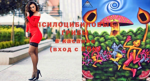 соль ск Алзамай